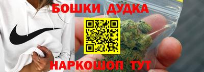 МДПВ Новозыбков