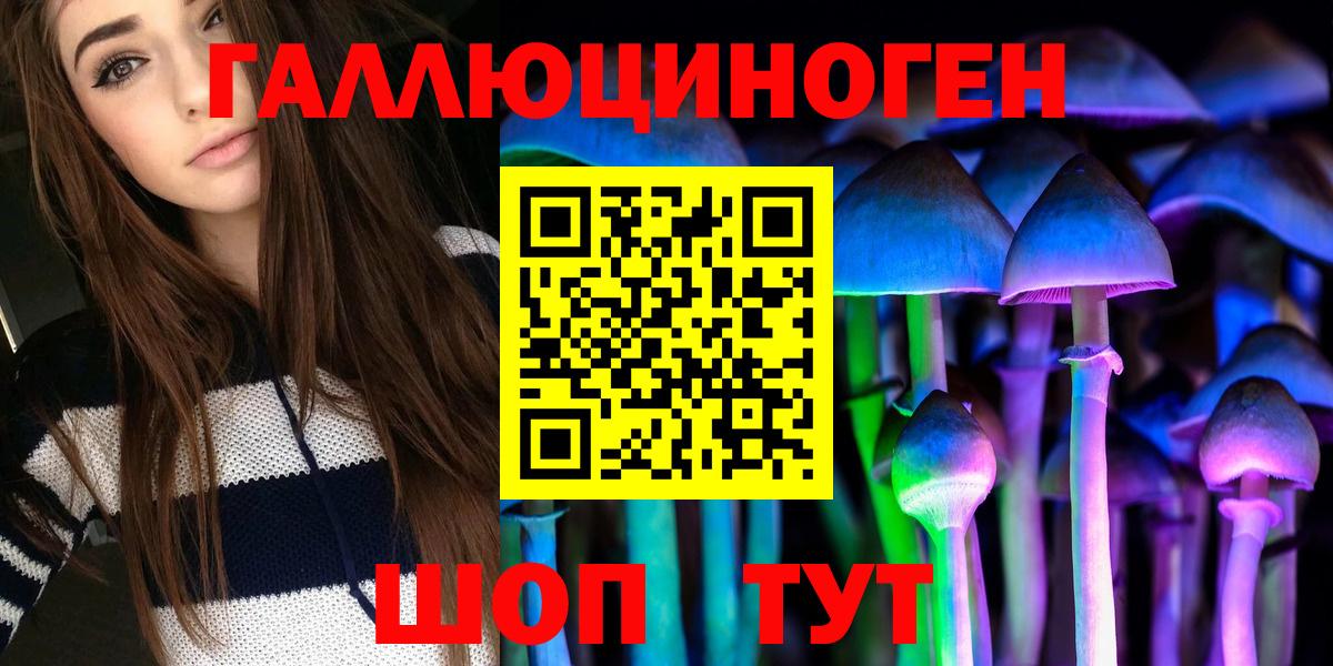 Галлюциногенные грибы Psilocybine cubensis Сергиев Посад