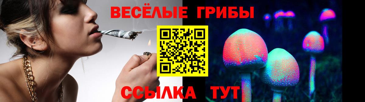 Сергиев Посад  цена наркотик  Псилоцибиновые грибы Psilocybine cubensis  Вход с VPN  Галлюциногенные грибы прущие грибы 